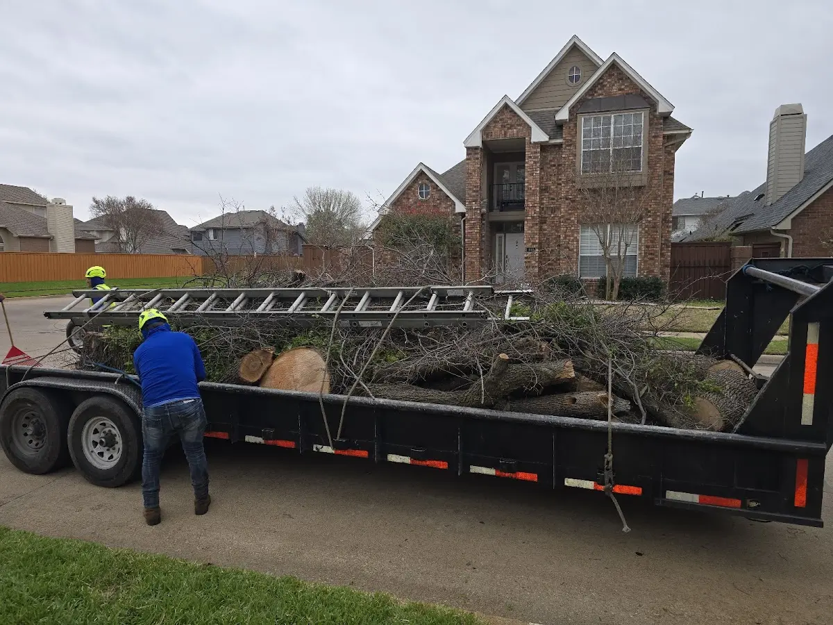 Expert Lot Clearing with proper safety equipment in Heiskell